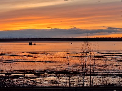 Elderberry Park photo 2