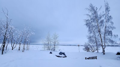 Elderberry Park photo 4