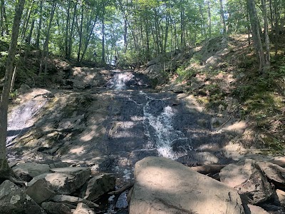 Fore River Sanctuary photo 2