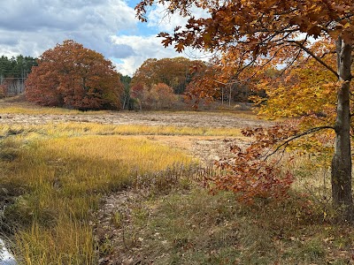 Fore River Sanctuary photo 5