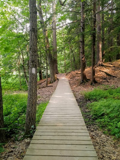 Fore River Sanctuary photo 4