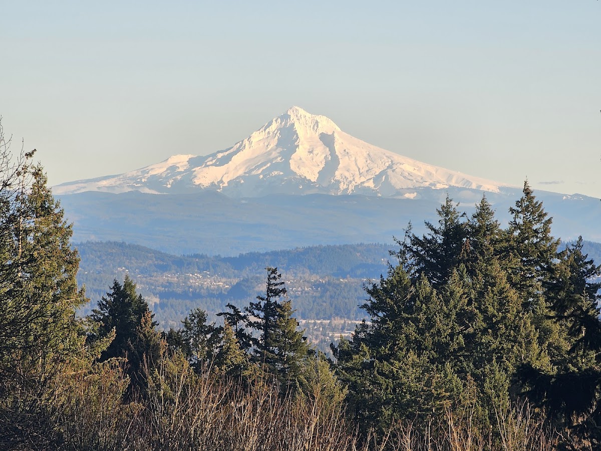 Council Crest Park