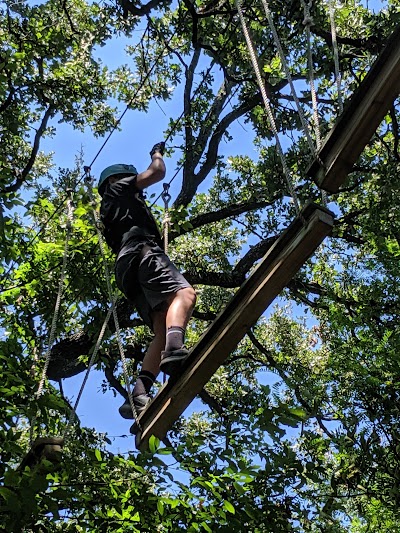Trinity Forest Adventure Park photo 2