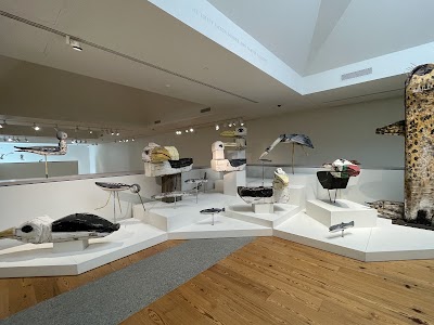 Portland Museum of Art photo 4