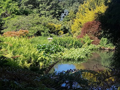 San Francisco Botanical Garden photo 4