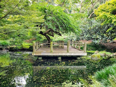 San Francisco Botanical Garden photo 2