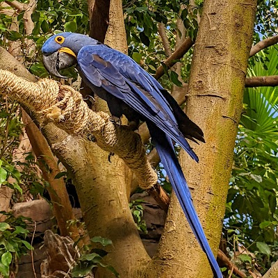 National Aviary photo 4