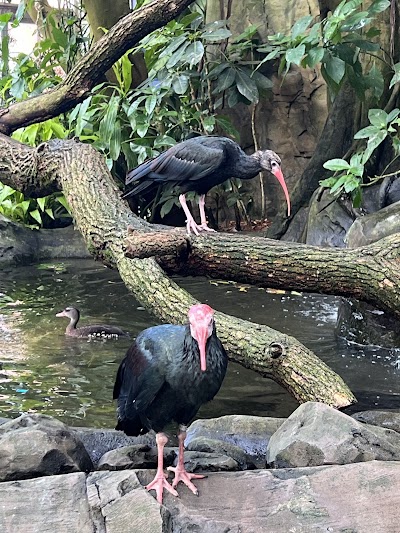 National Aviary photo 2