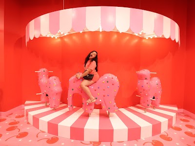 MUSEUM OF ICE CREAM photo 3