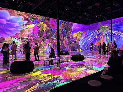 ARTECHOUSE Houston photo 5