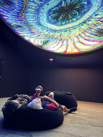ARTECHOUSE Houston photo 4