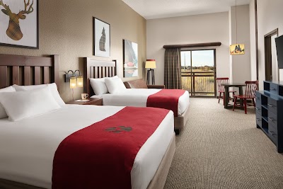Great Wolf Lodge | Arizona photo 2