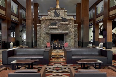 Great Wolf Lodge | Arizona photo 5