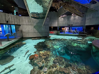 National Aquarium photo 2