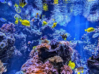 National Aquarium photo 3