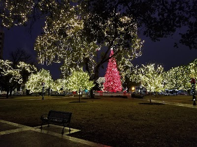 Travis Park photo 3