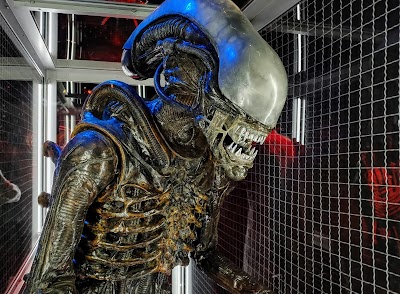 Museum of Pop Culture photo 5