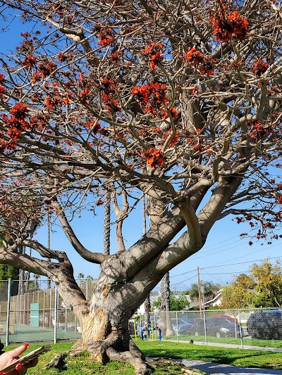 North Park photo 5