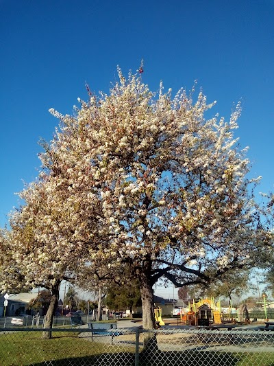 North Park photo 3