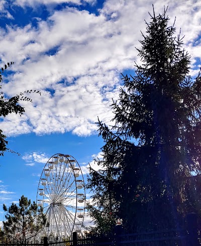 Rides At Adventure Cove photo 2