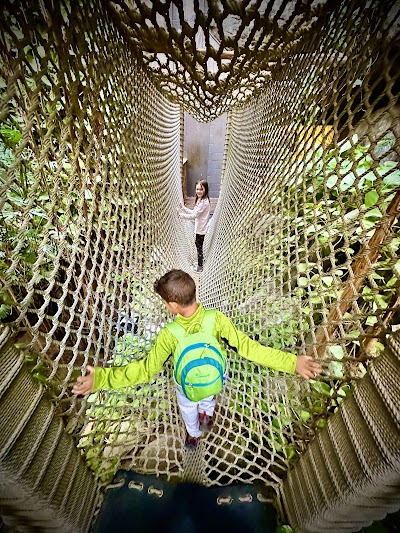 Discovery Place Science photo 5