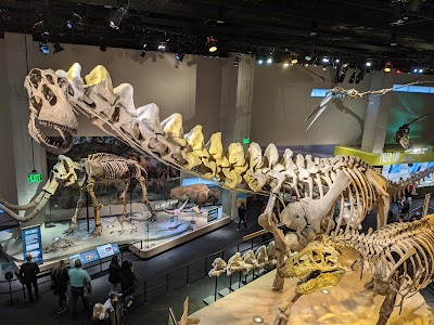 Perot Museum of Nature and Science photo 2