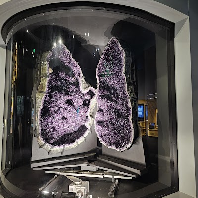 Perot Museum of Nature and Science photo 5