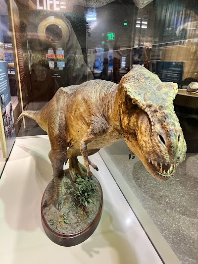 Perot Museum of Nature and Science photo 3