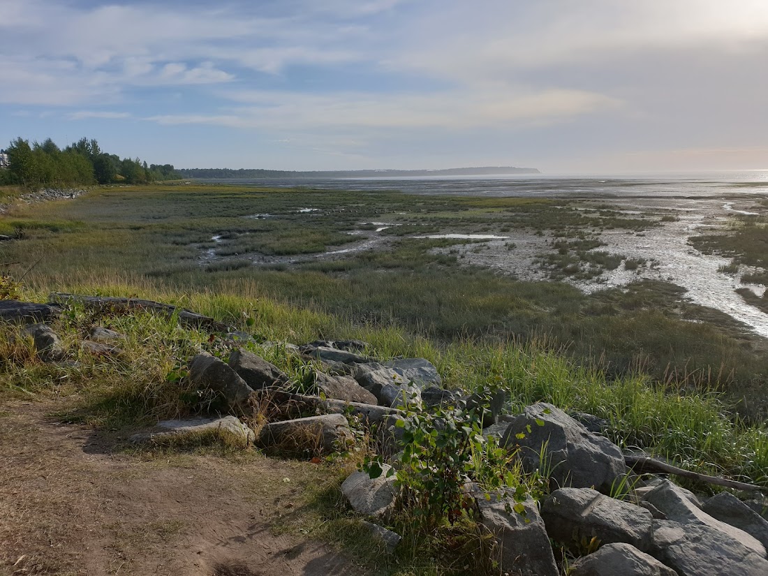 Coastal Trail - Elderberry Park