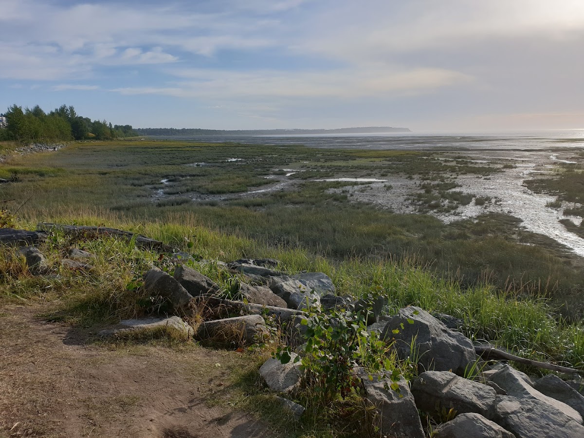 Coastal Trail - Elderberry Park