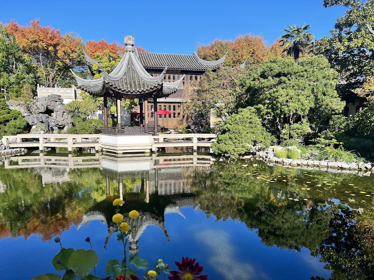 Lan Su Chinese Garden