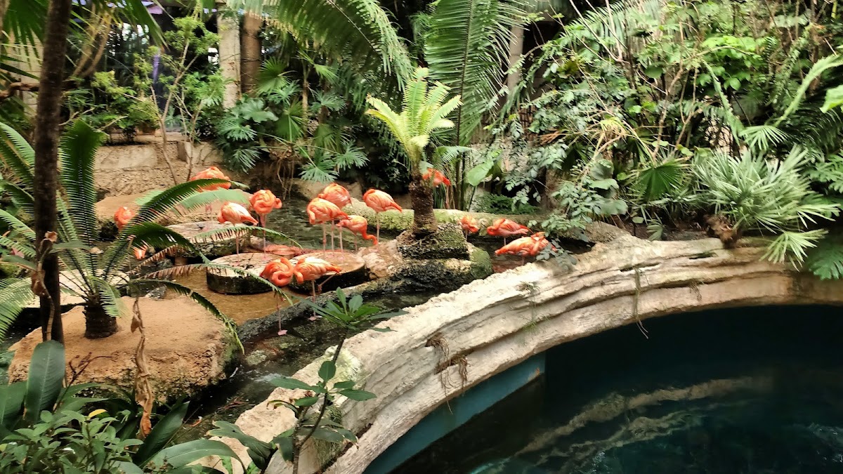 The Dallas World Aquarium