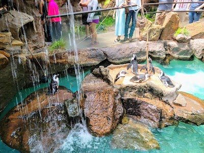 The Dallas World Aquarium photo 4