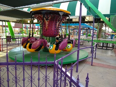 Castles N' Coasters photo 5