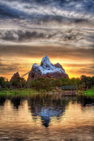 Disney's Animal Kingdom Theme Park photo 3