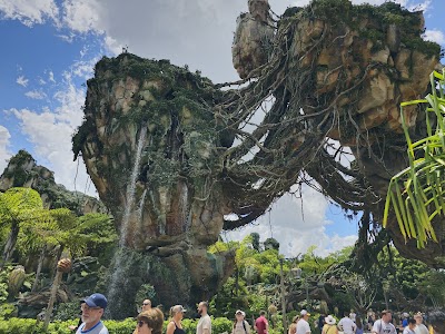 Disney's Animal Kingdom Theme Park photo 4