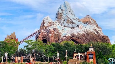 Disney's Animal Kingdom Theme Park photo 2
