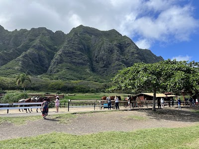 Kualoa Ranch photo 2