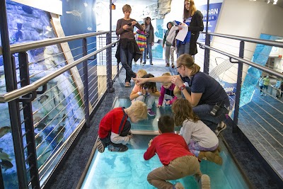 Discovery World's Reiman Aquarium photo 3