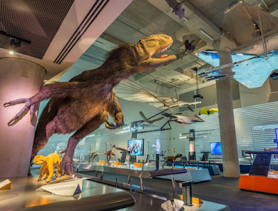 Phillip & Patricia Frost Museum of Science photo 2