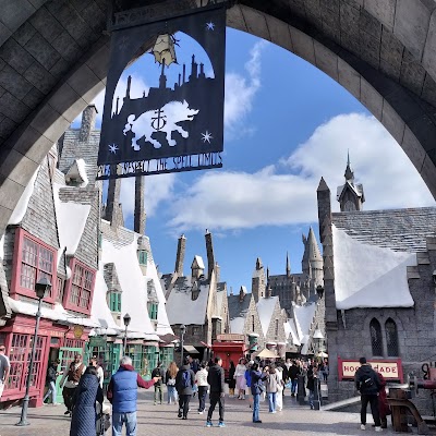 The Wizarding World of Harry Potter photo 5