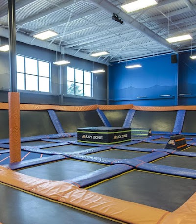 Sky Zone Trampoline Park photo 2