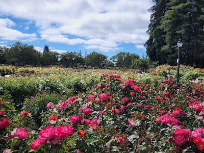 Municipal Rose Garden photo 2