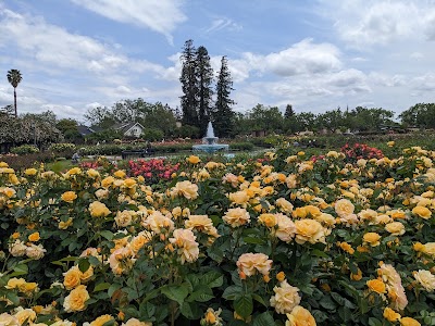 Municipal Rose Garden photo 4