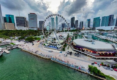 Skyviews Miami Observation Wheel photo 3