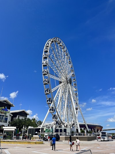 Skyviews Miami Observation Wheel photo 2