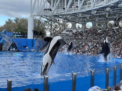 SeaWorld San Antonio photo 3