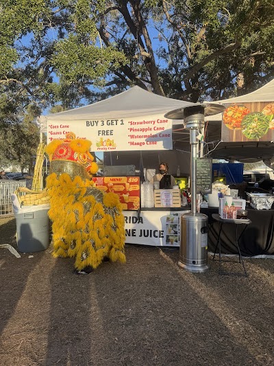 Festival Park photo 3