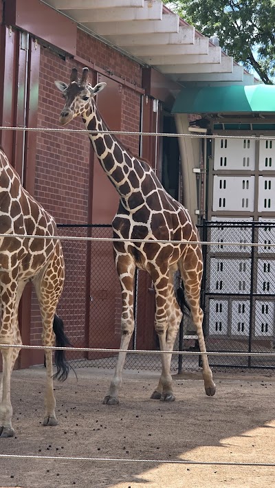 Denver Zoo photo 2