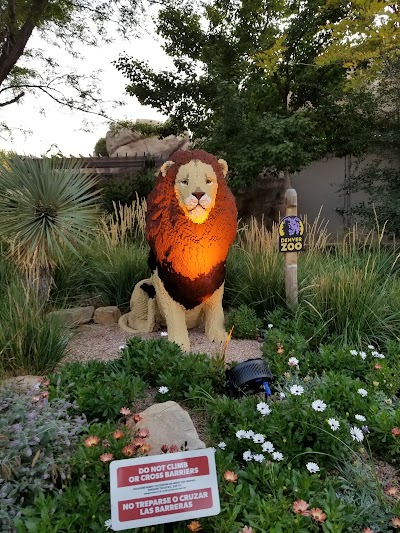 Denver Zoo photo 4